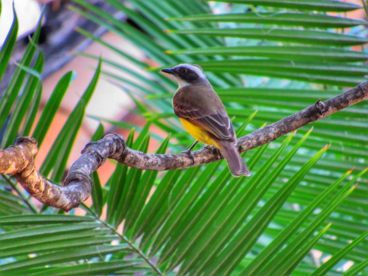 Pousada Anaue Cipo Serra do Cipo National Park Esterno foto